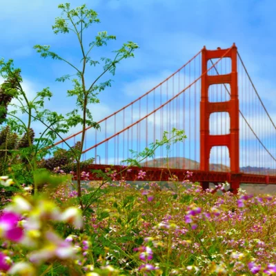 Linger Longer Special